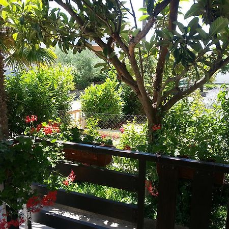Apartment Perunika Zadar Ngoại thất bức ảnh